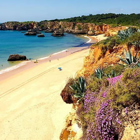 Vau T1 Apartment Portimao